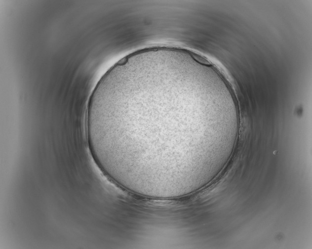 X0000089861295200707262120