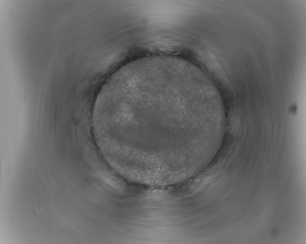 X0000089861297200707262119