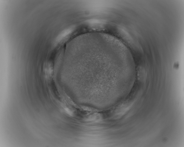 X0000089861298200707262119