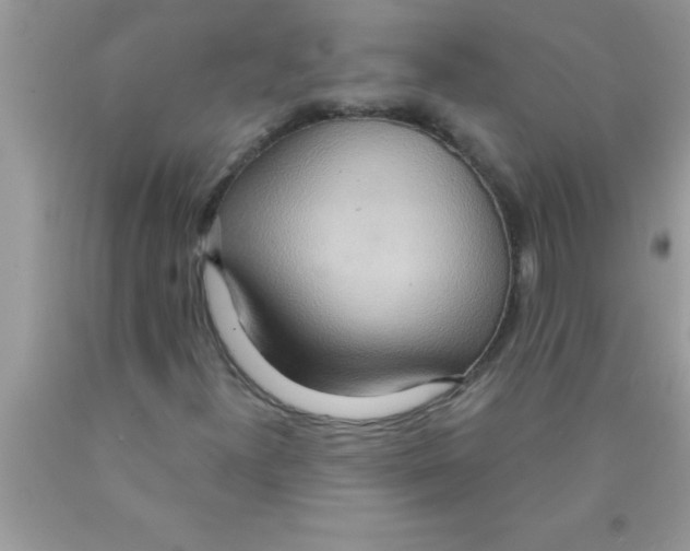 X0000089861300200707262119