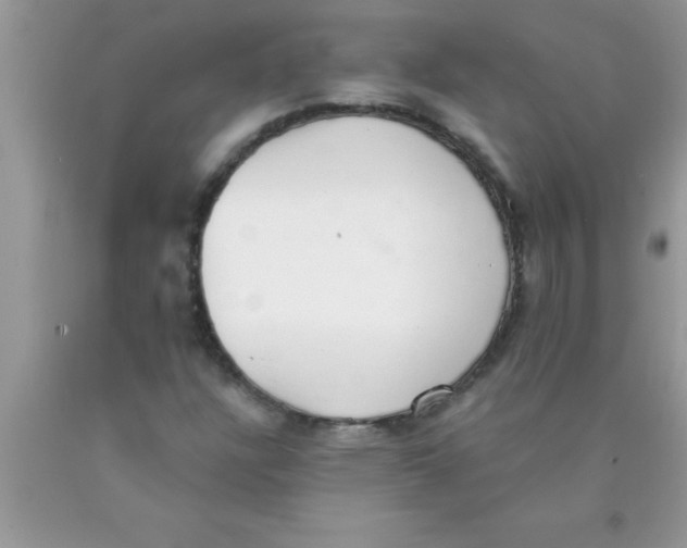 X0000089861304200707262119