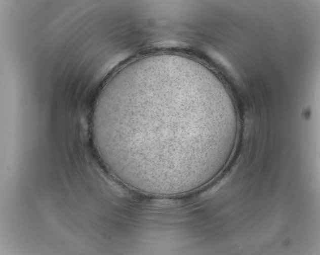 X0000089861305200707262119