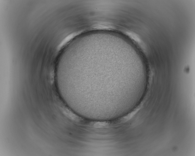 X0000089861306200707262119