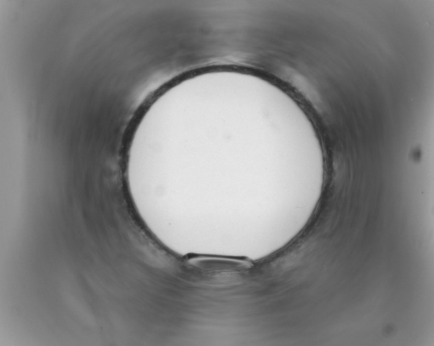 X0000089861308200707262119