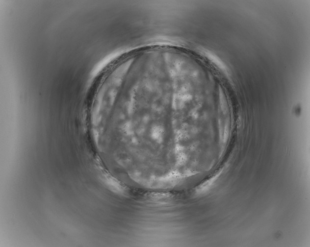 X0000089861310200707262119