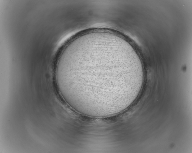 X0000089861311200707262119