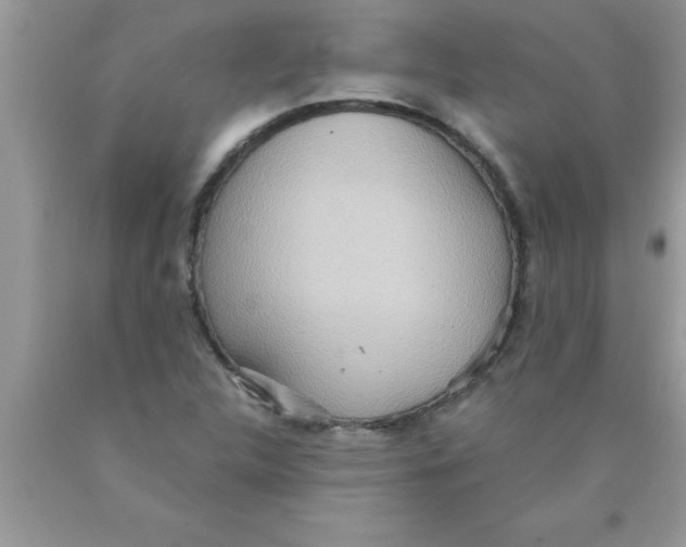 X0000089861312200707262119