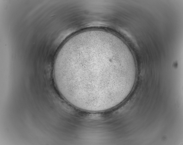 X0000089861313200707262119