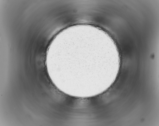 X0000089861314200707262119