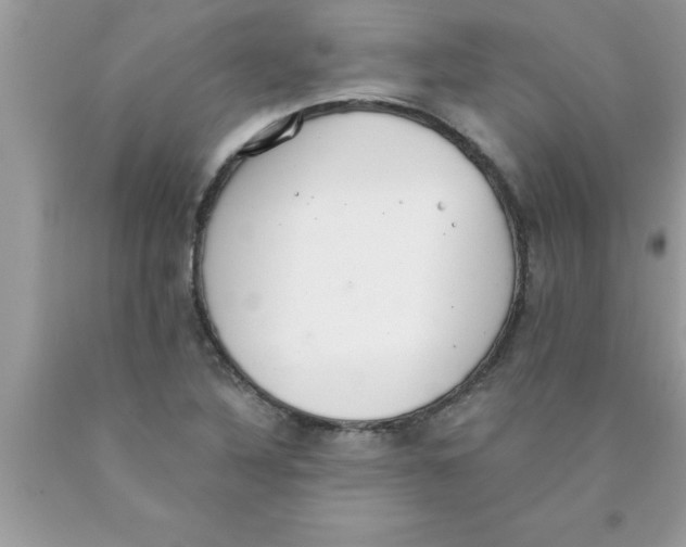 X0000089861316200707262119