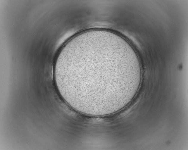 X0000089861317200707262119