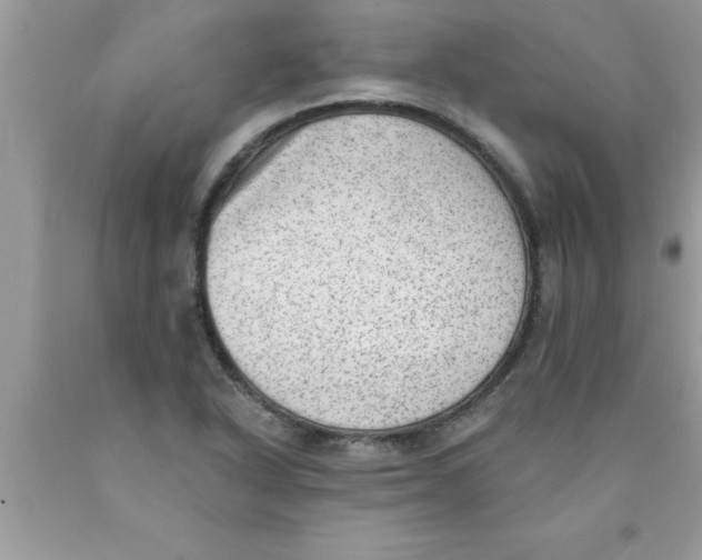 X0000089861318200707262119