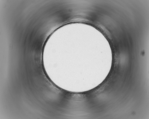 X0000089861322200707262120