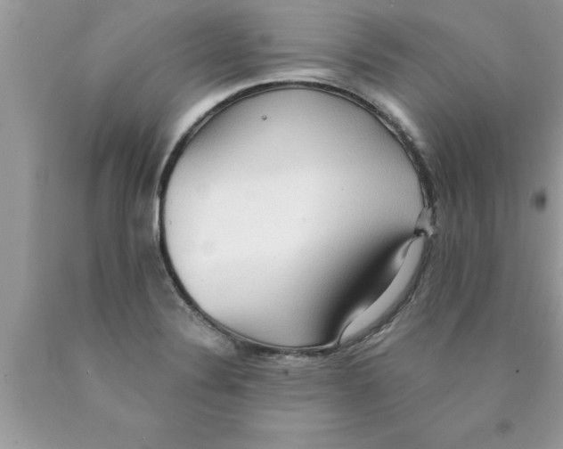 X0000089861324200707262120