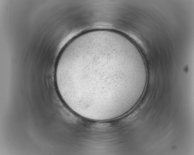 X0000089861325200707262120