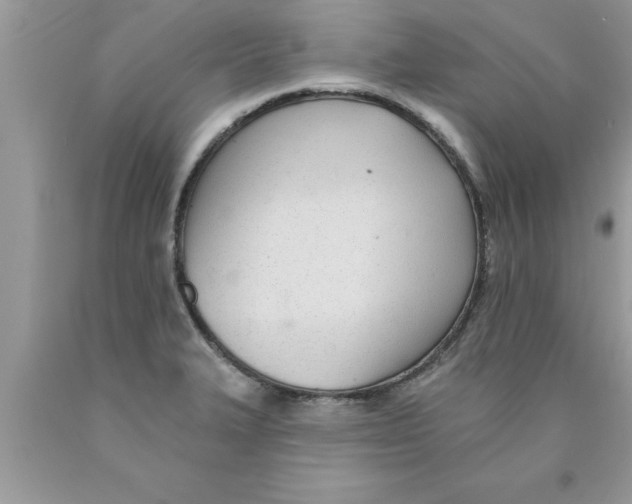 X0000089861327200707262120