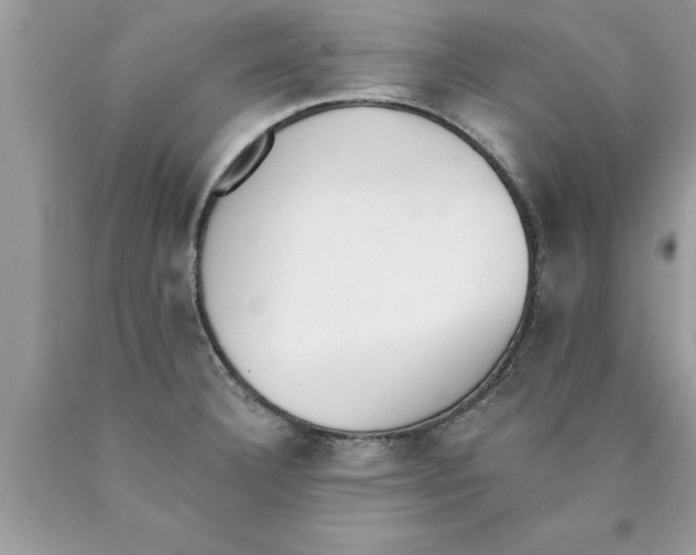 X0000089861332200707262120