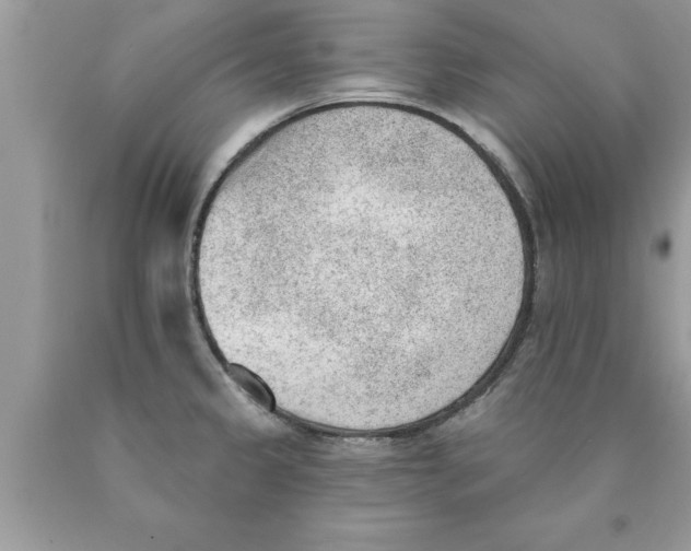 X0000089861333200707262120