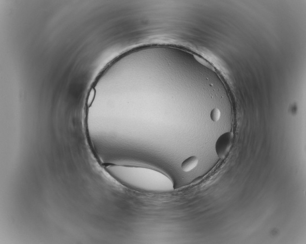 X0000089861334200707262120
