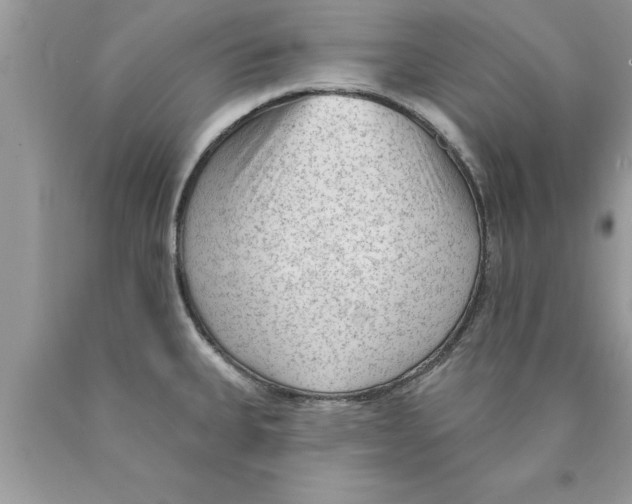 X0000089861335200707262120