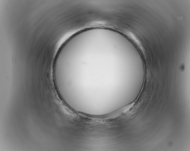 X0000089861336200707262120
