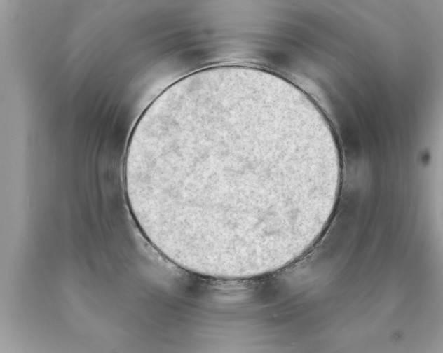 X0000089861338200707262120