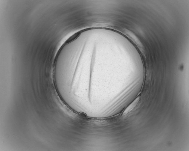 X0000089861340200707262120