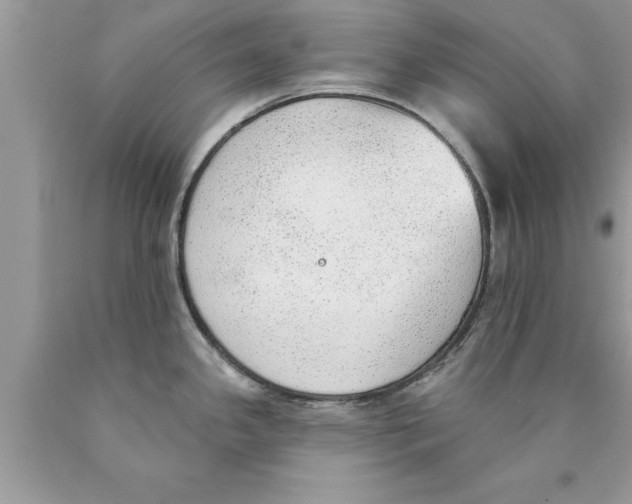 X0000089861341200707262120