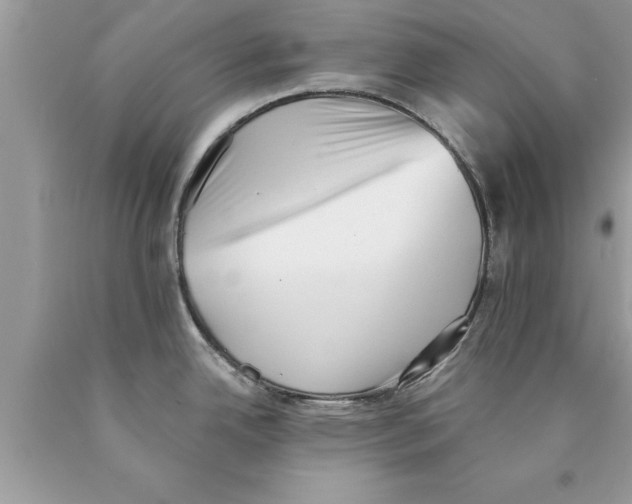 X0000089861342200707262120