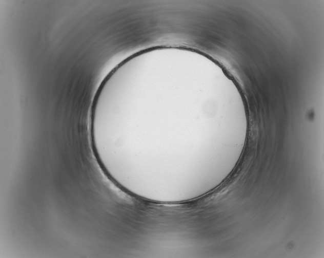 X0000089861343200707262120