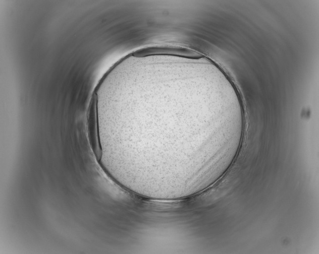 X0000089861344200707262120