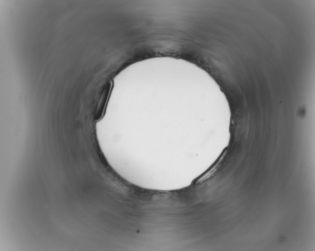 X0000089861345200707262119