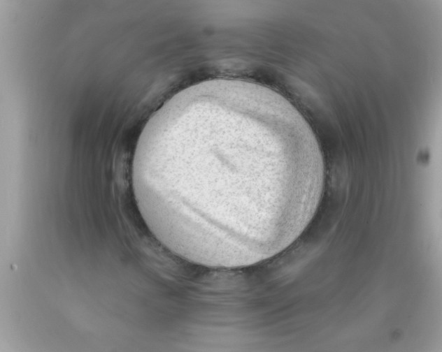 X0000089861346200707262119