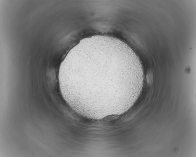 X0000089861347200707262119