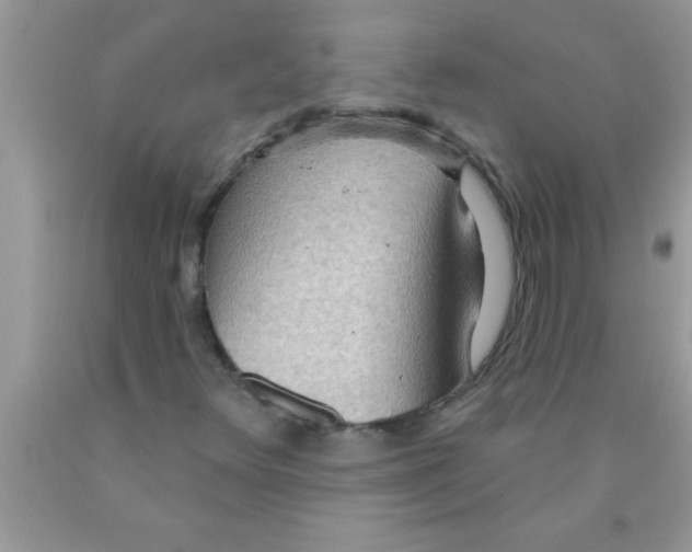 X0000089861348200707262119