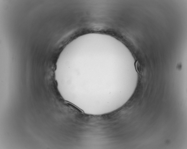 X0000089861349200707262119