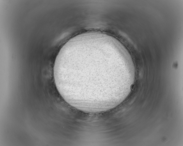 X0000089861350200707262119