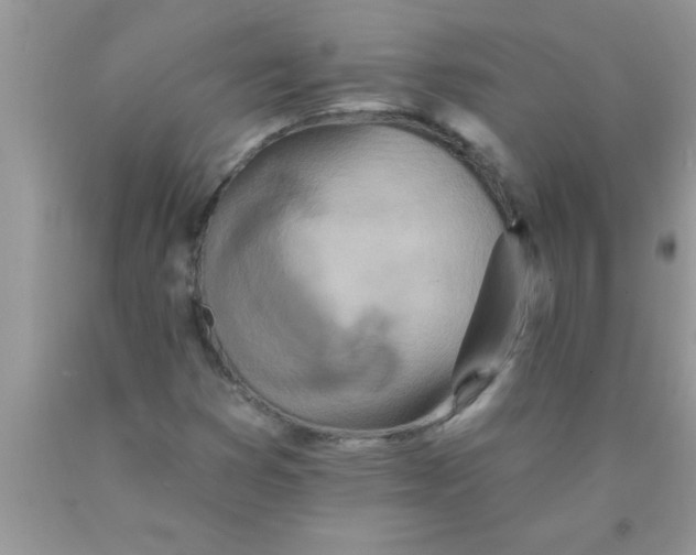 X0000089861353200707262119