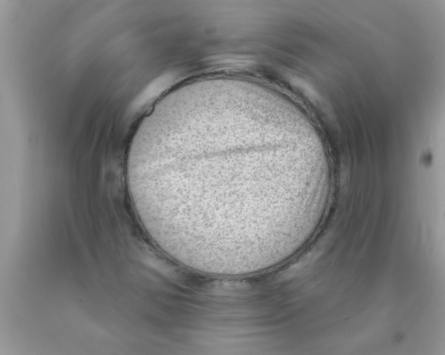 X0000089861354200707262119