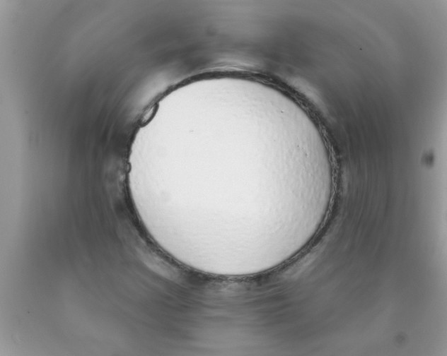 X0000089861355200707262119