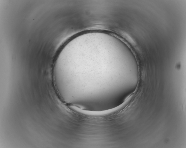 X0000089861356200707262119