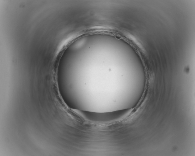 X0000089861357200707262119