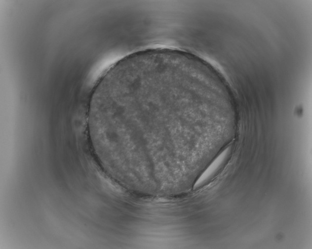 X0000089861359200707262119