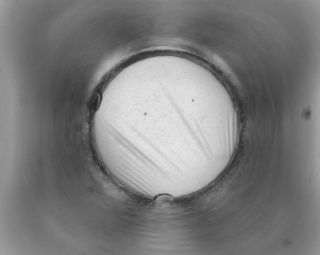 X0000089861360200707262119