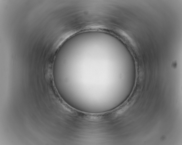 X0000089861361200707262119