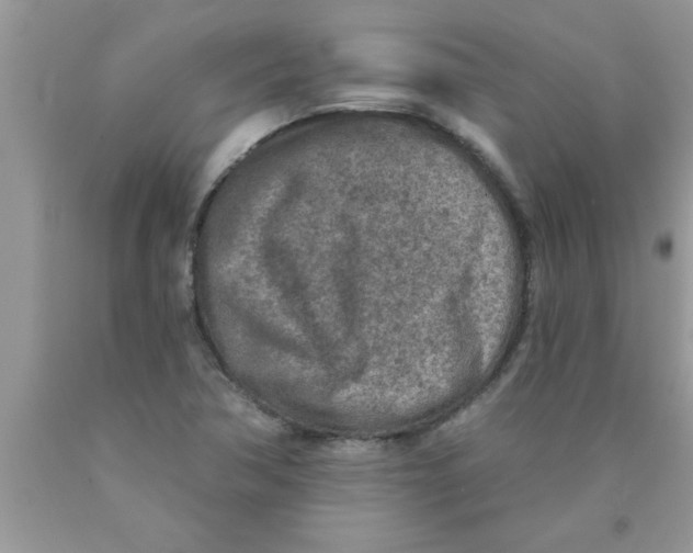 X0000089861362200707262119