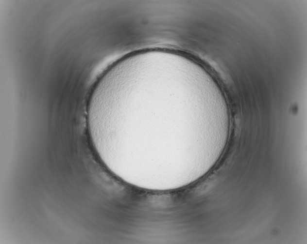 X0000089861363200707262119