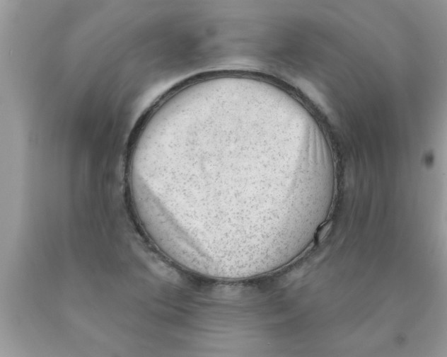 X0000089861364200707262119