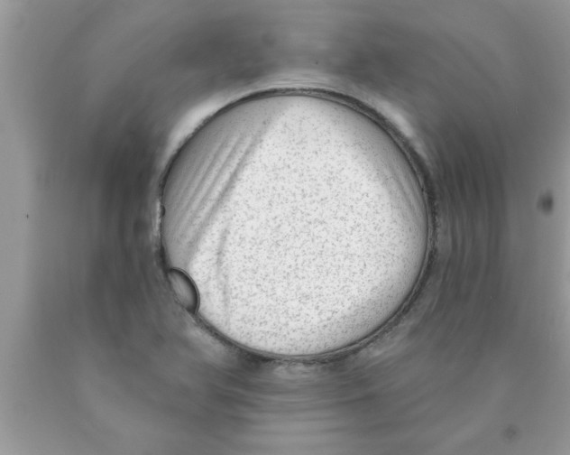 X0000089861366200707262119