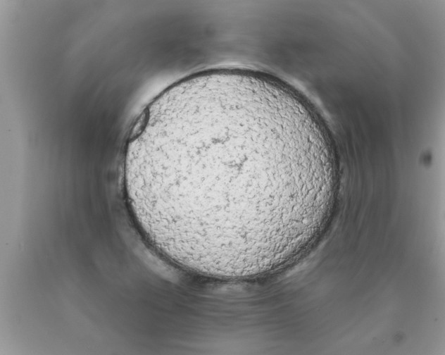 X0000089861367200707262119